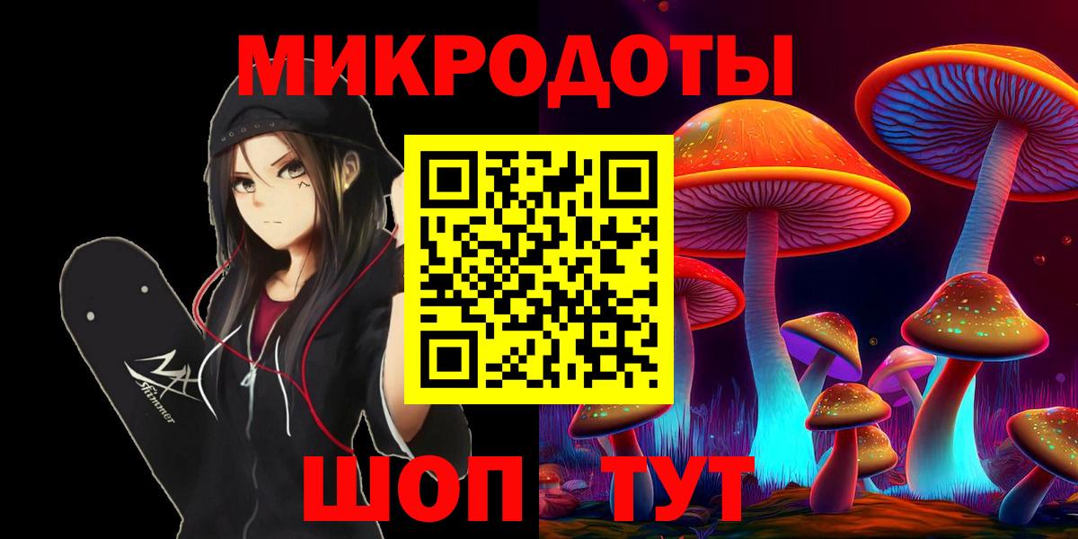 Псилоцибиновые грибы Psilocybine cubensis Александров