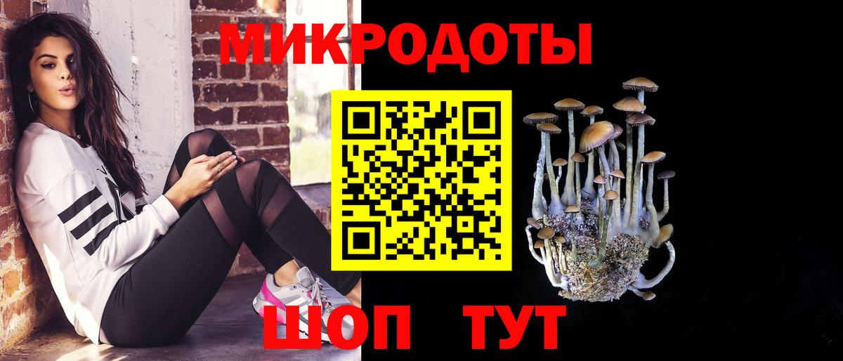 Галлюциногенные грибы GOLDEN TEACHER  Псилоцибиновые грибы мицелий  Александров  Вход с VPN 